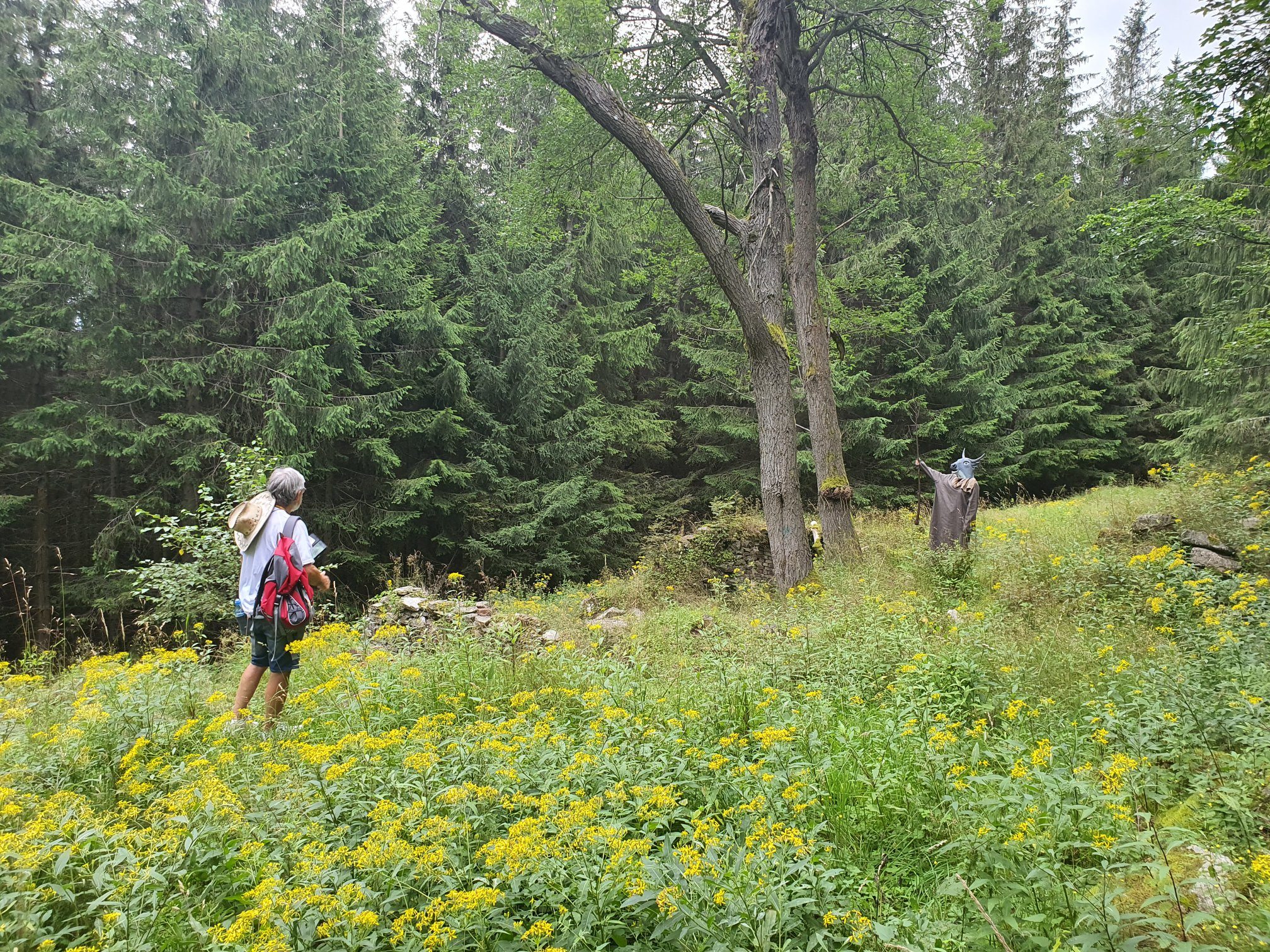 118154701_2709195386067884_5416176098404875251_n