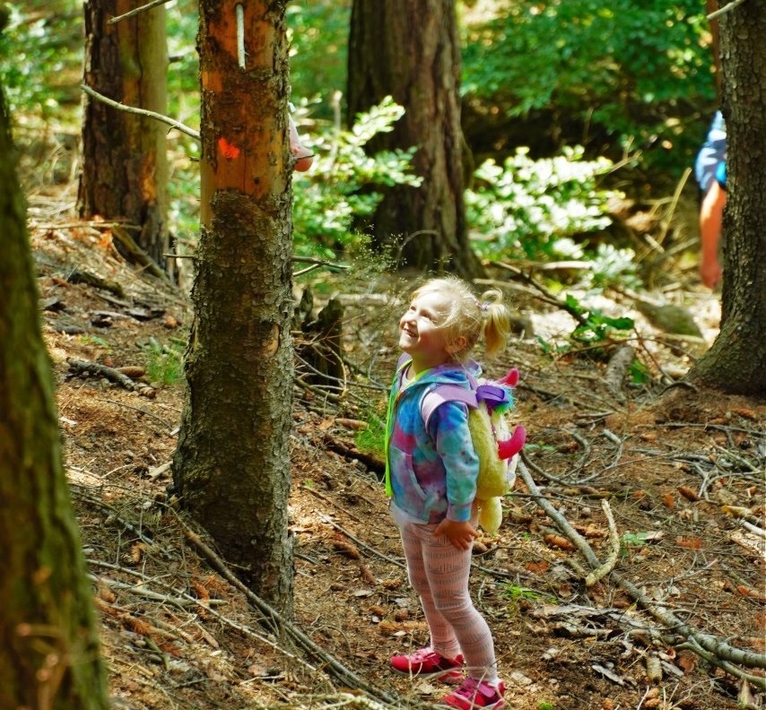 210410064_2977463049241115_2991405918391154067