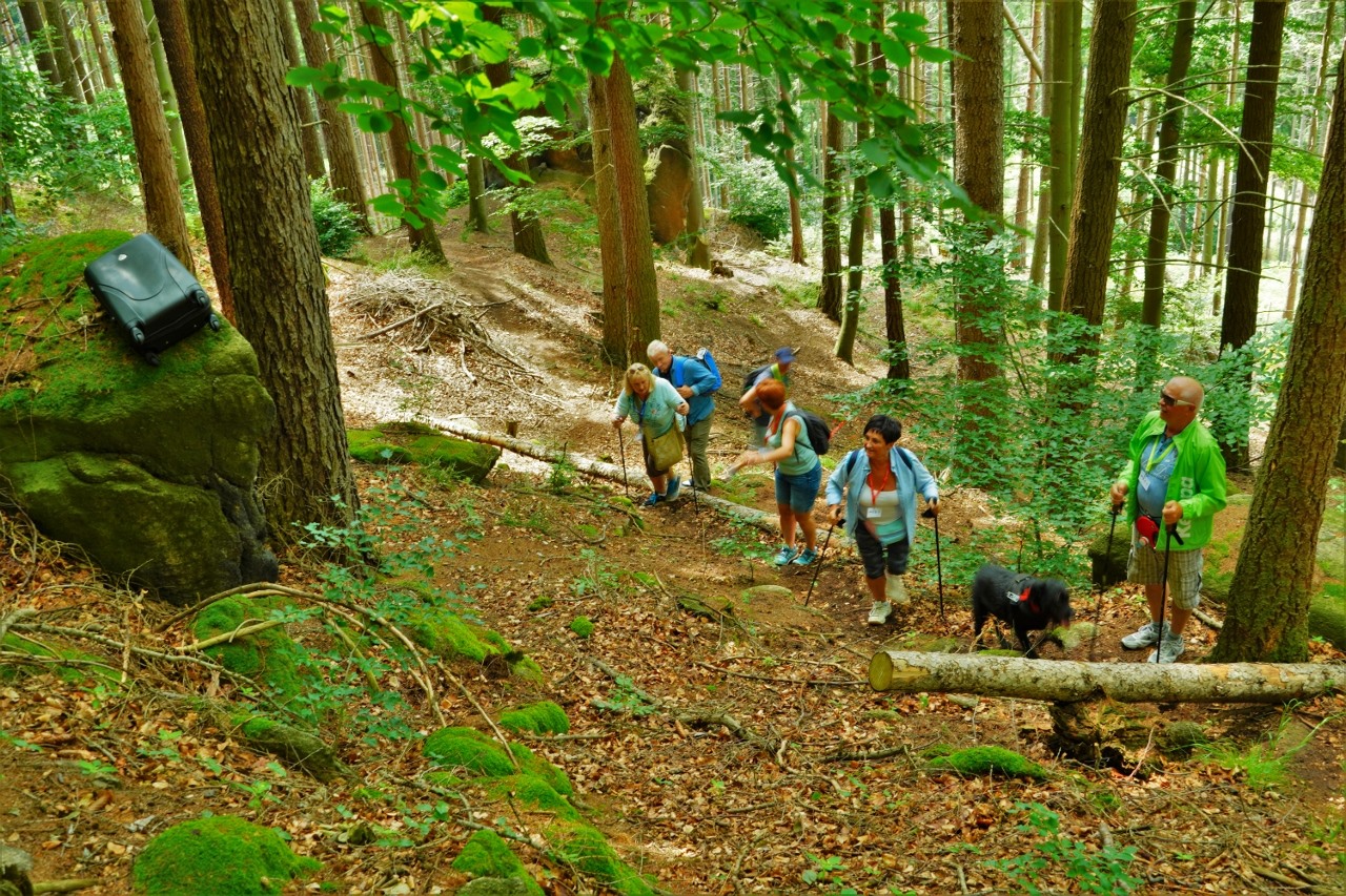 212796135_2977462912574462_4277006487089136706_n