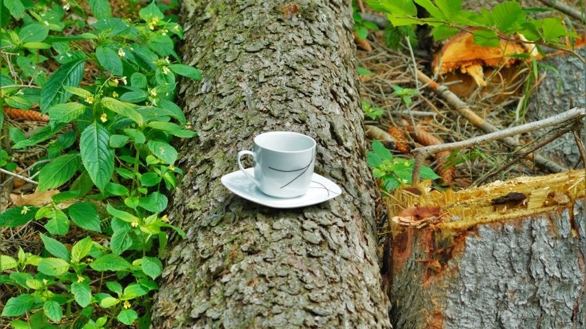 212836227_2977461602574593_8424224889678423778_na