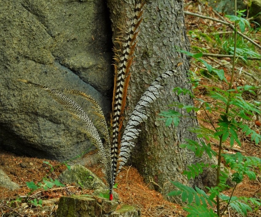 212836280_2977462559241164_3540878640429274257