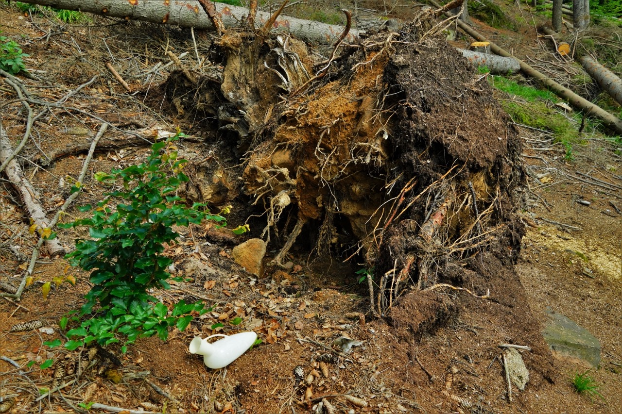 213312743_2977461665907920_7914598333015644539_n