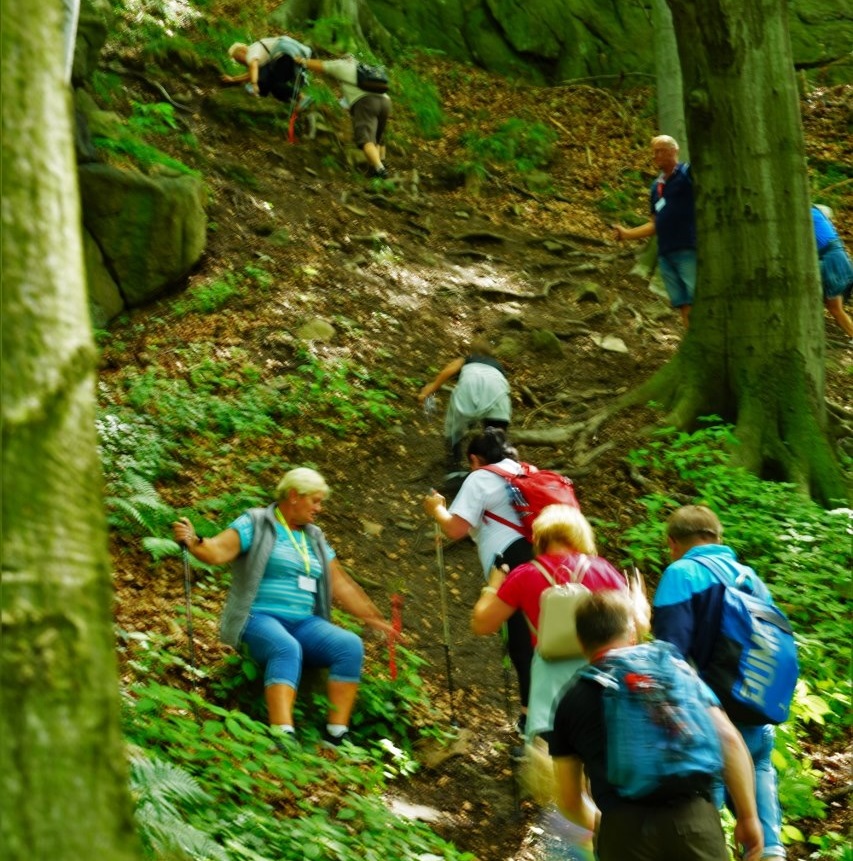 214286819_2977463265907760_3816025296485358626