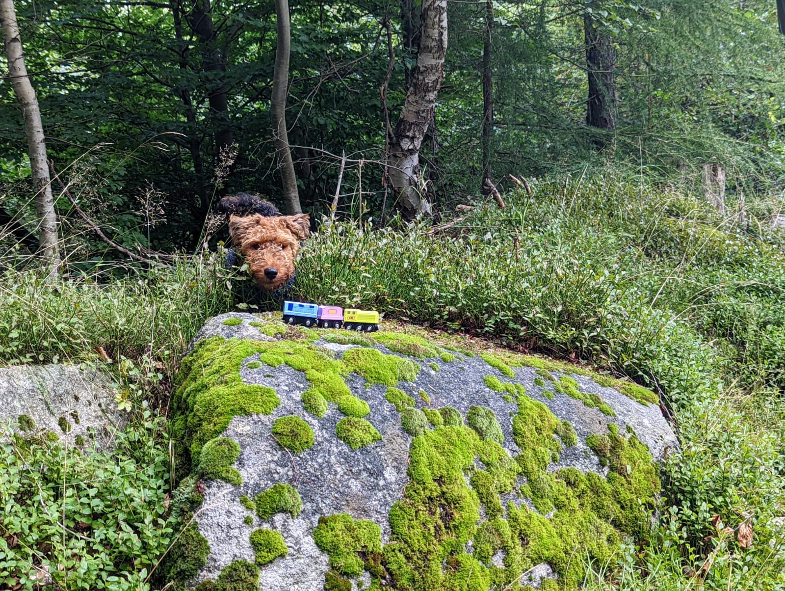 301933363_3305509396436477_78517763033580938_n