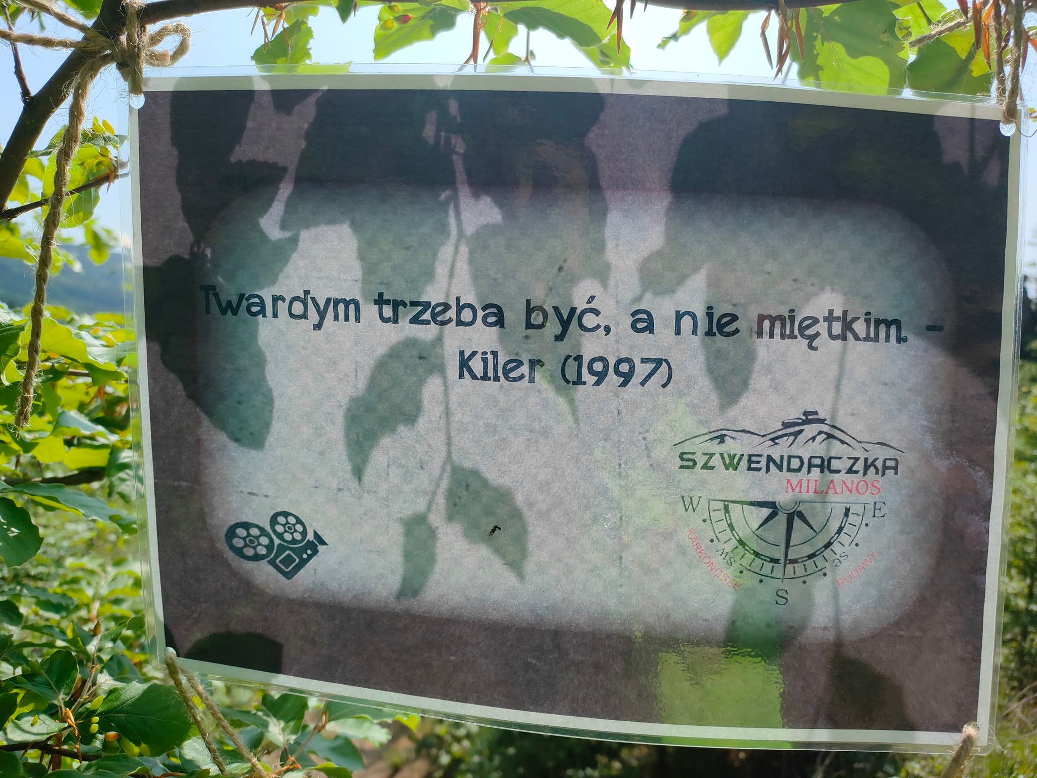 350339143_983822322774575_6216706037571106853_n