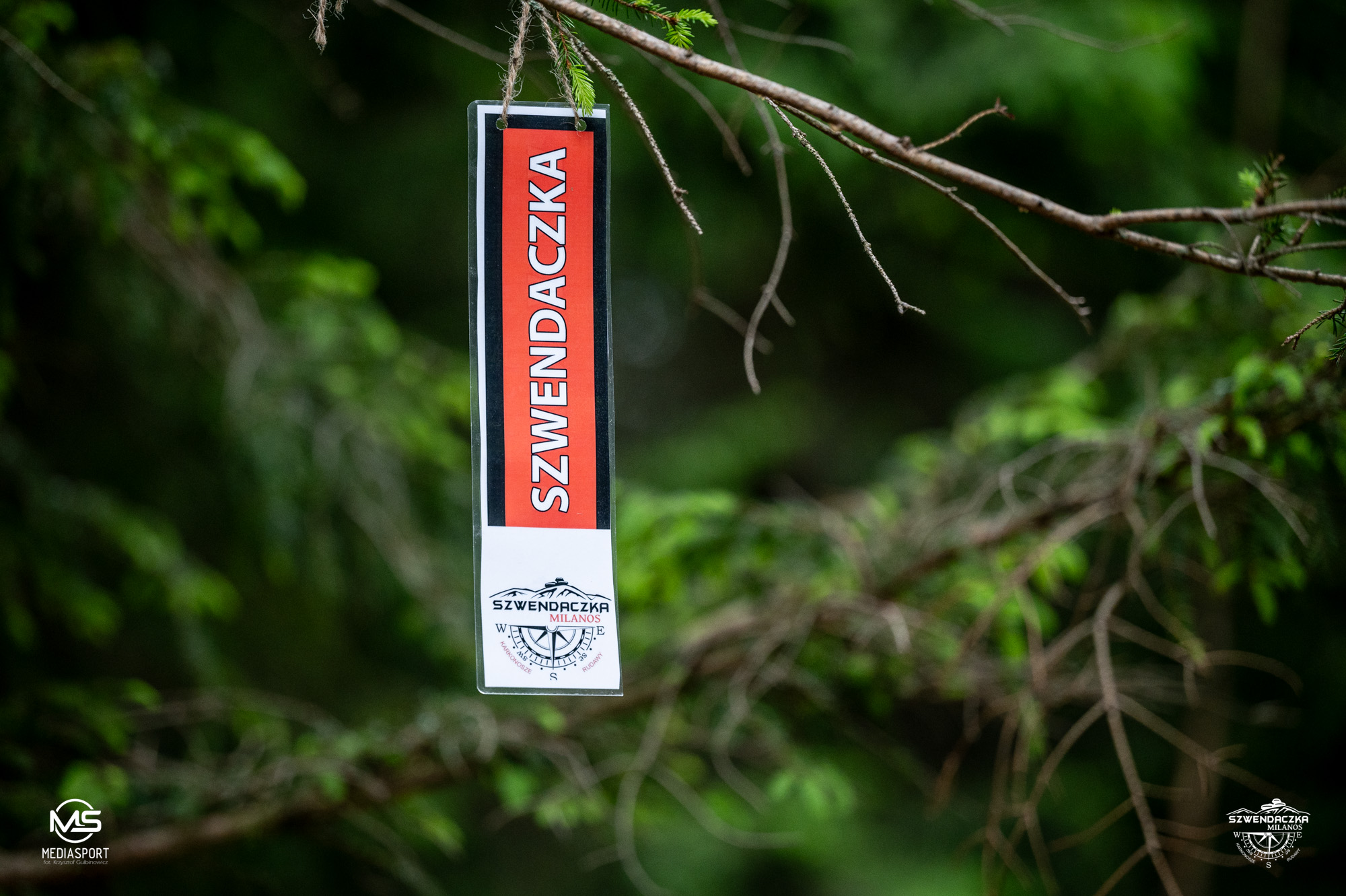 441520978_971860411612321_6315105091414167533_n