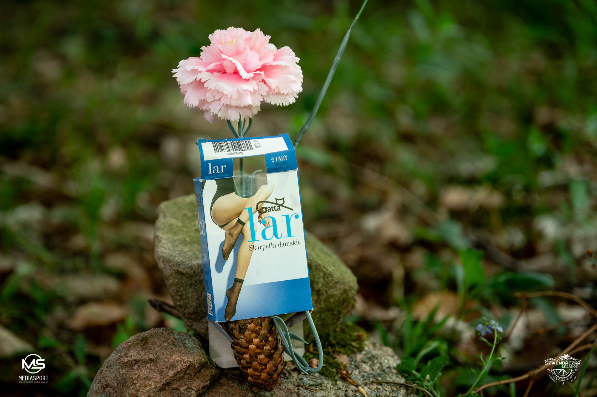 441539644_971860638278965_4149870072167062185_n