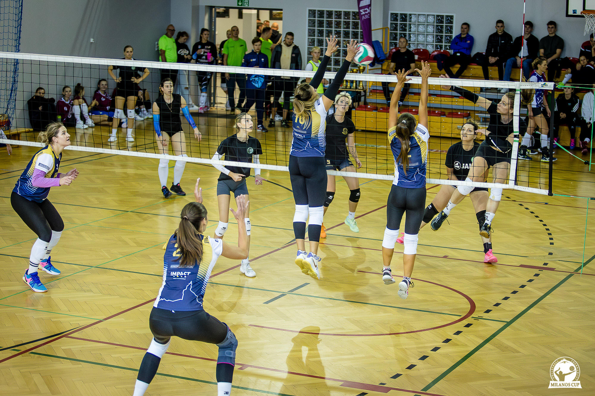 460537877_1052487226882972_3698133412747859816_n